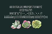 Vibrant Energy Typeface, a Handwritten Font by Seemly Fonts (Thumbnail 5 of 5)