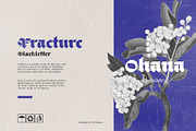 Black Obesity Blackletter Font, a Blackletter Font by alit design (Thumbnail 10 of 17)
