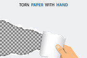 Scratch Claws Animal and Torn Holes, an Animal Illustration by TAlex (Thumbnail 3 of 6)