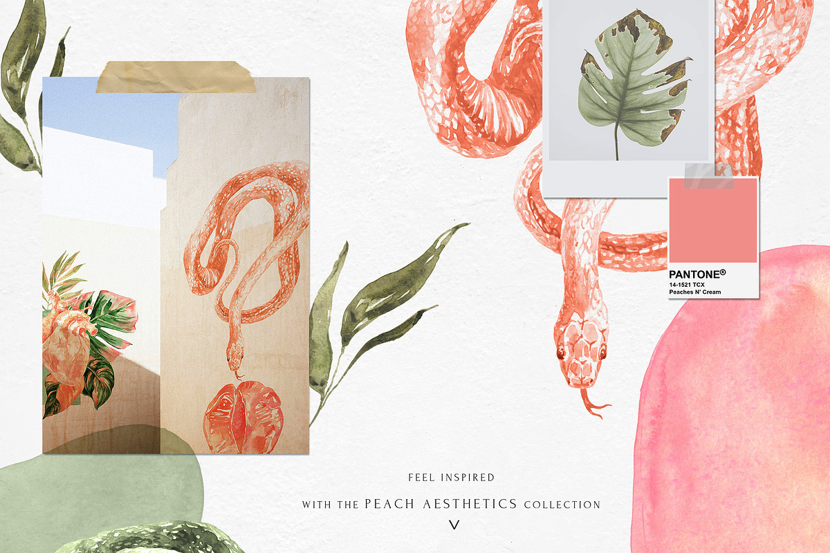 Peach Aesthetics Tropical Summer, an Illustration by Cat In Colour (Photo 4 of 10)
