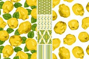 Quince Patterns & Graphic Objects., a Pattern Graphic by IrinaCzaran (Thumbnail 3 of 6)