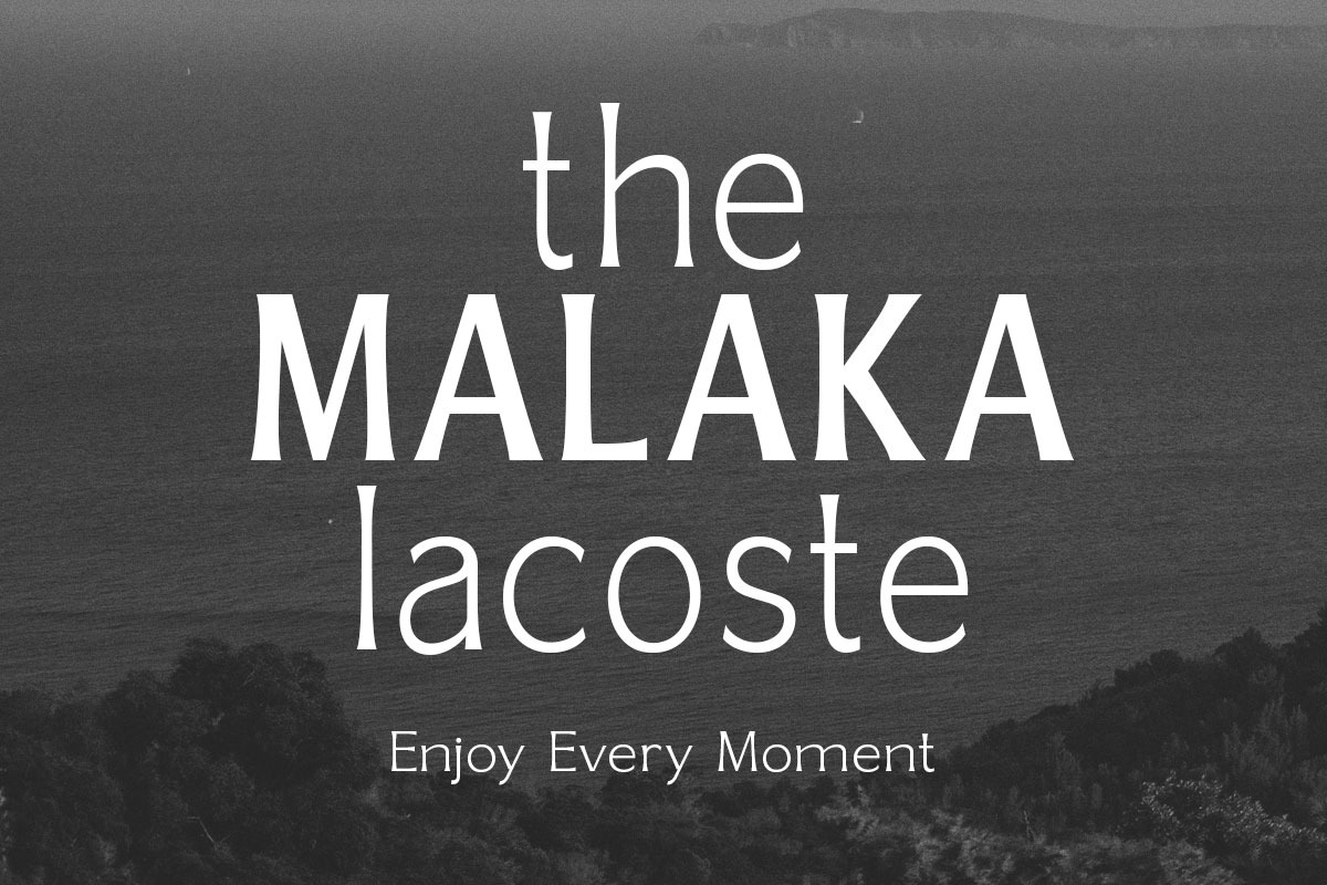 Gallion Pro, a Serif Font by MasaType (Photo 4 of 11)