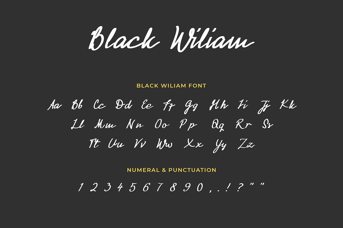 Black William Signature Font, a Script Font by UICreative (Photo 2 of 5)