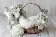 Newborn Basket Digital Backdrop, a Layer Style Add-On by Wild Honey Design Co. (Thumbnail 2 of 2)