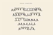 Soulmate Vasque Editoral Serif Font, a Serif Font by WhymoreArt (Thumbnail 3 of 10)