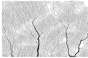 Growth - 50 Backgrounds, a Texture Graphic by GarryKillian (Thumbnail 33 of 51)