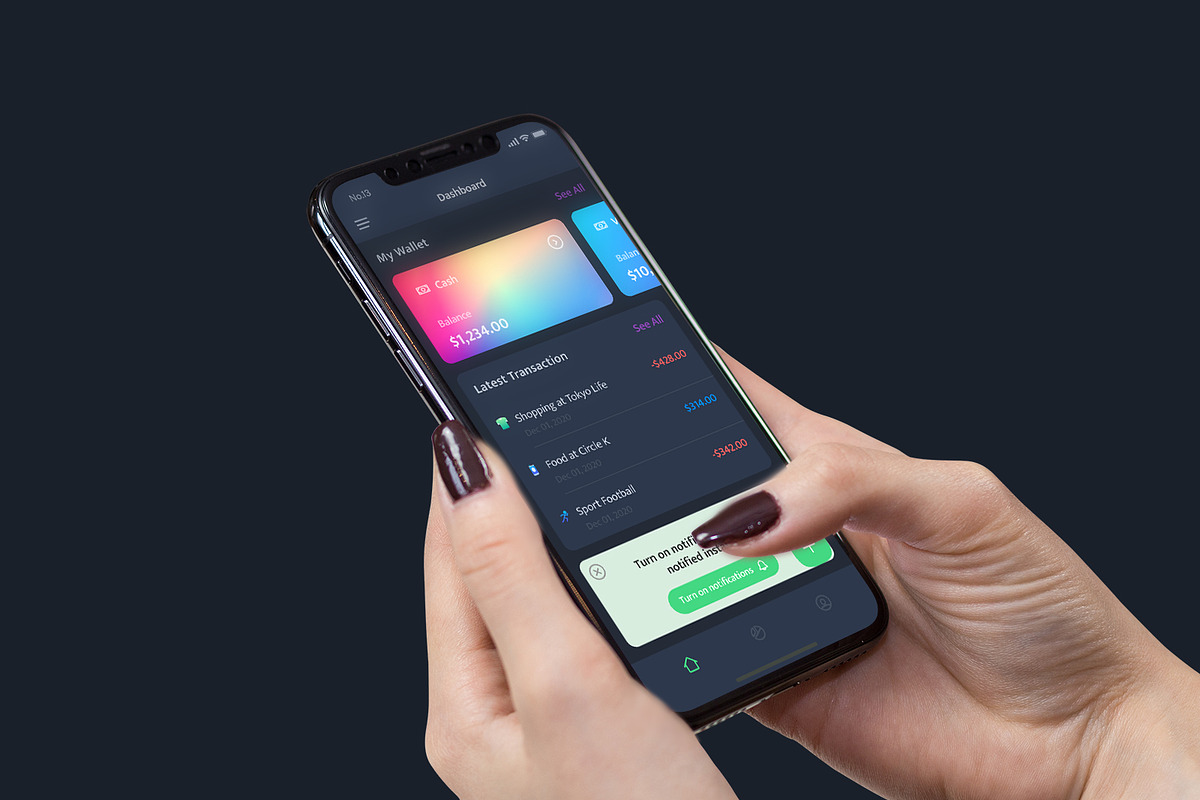 Monsy-Income & Expense Money App, an App Template by No.13 (Photo 4 of 4)