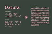 Datura —Fantasy Retro Brush, a Sans Serif Font by Pedroglifos (Thumbnail 12 of 12)