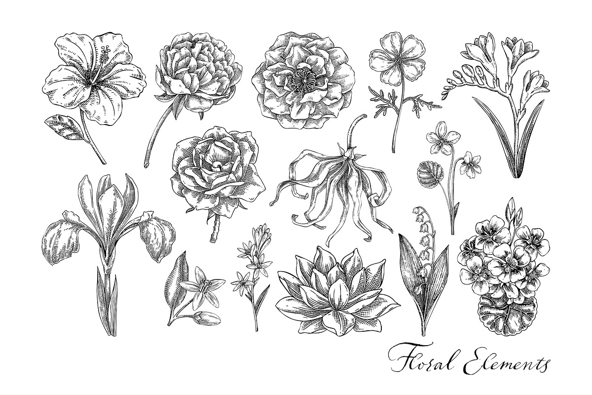 Botanical Beauty & Spa Branding Kit, a Healthcare Illustration by Yevheniia (Photo 3 of 12)