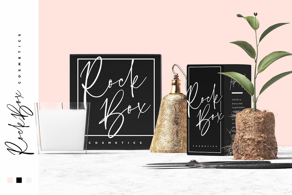 Bird and Thorn Font Free Downloadv - UIFreebies