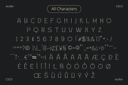 Aurlen – Elegant Serif, a Serif Font by Craft Supply Co. (Thumbnail 6 of 8)