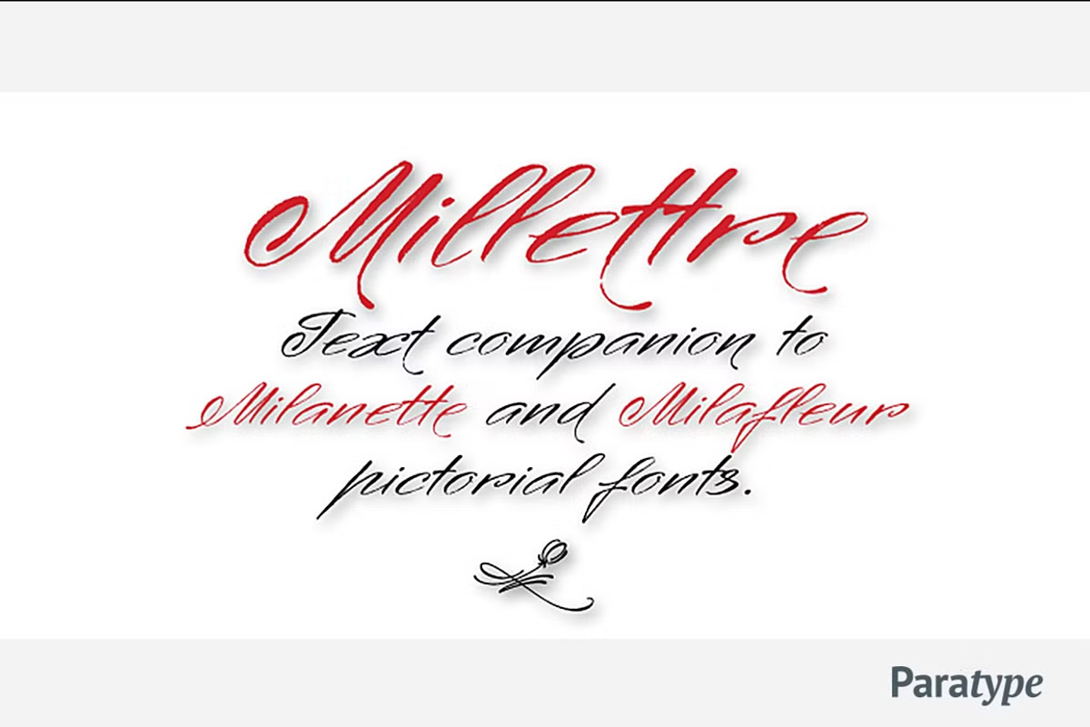 Millettre, a Script Font by Paratype (Photo 2 of 2)