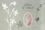 Bloom & Shade Botanical PNG Elements, an Object Graphic by alonahaidash (Thumbnail 13 of 13)