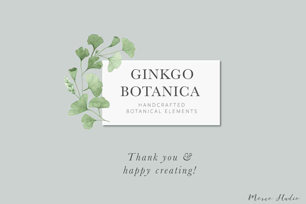 Ginkgo Botanica - Florals & Leaves, a Texture Illustration by Momo Studio (Photo 12 of 12)