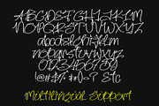 Midnight Script, a Handwritten Font by Letterafa Studio (Thumbnail 6 of 6)