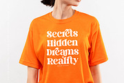 Dream Silvers Modern Serif Font, a Serif Font by timelesstype.co (Thumbnail 5 of 20)