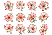 Spring Petunia Flower Clipart, an Illustration by Design Market (Thumbnail 2 of 4)