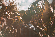 Sale - 240 Light Leak Bundle, a Texture Graphic by Neo Ink Design (Thumbnail 8 of 12)