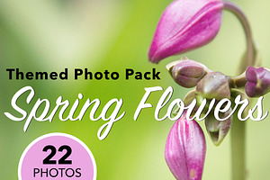 Floral Botanical Background Images, a Background Photo by kristiangallagher