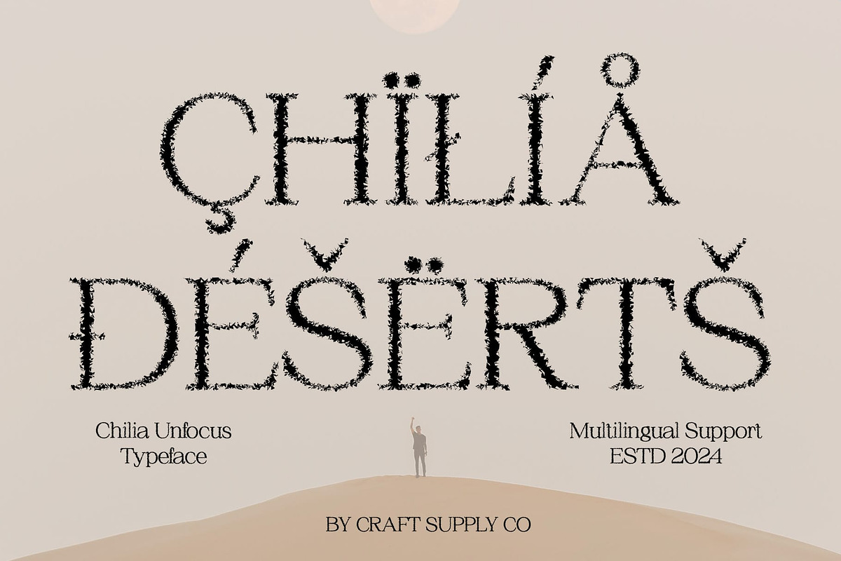 Chilia Unfocus, a Serif Font by Craft Supply Co. (Photo 6 of 8)