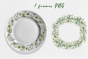 Chamomile watercolor clip art, a Decorative Illustration by SvetLana (Thumbnail 6 of 13)