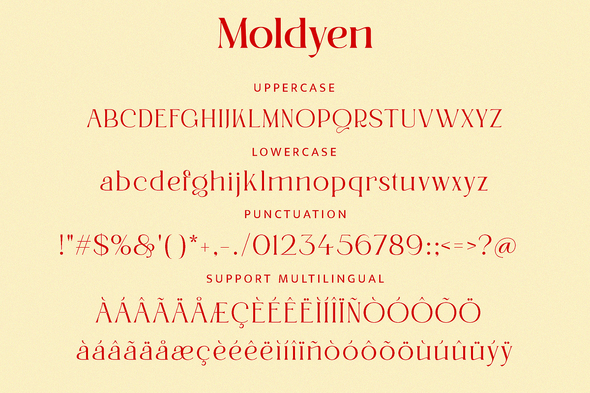 Moldyen Font Family, a Serif Font by MJtypefoundry (Photo 8 of 10)