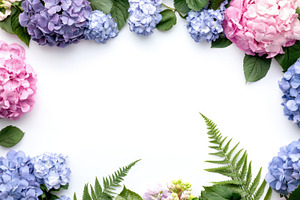 Hydrangea floral arrangement, a Photo by Beautiful things