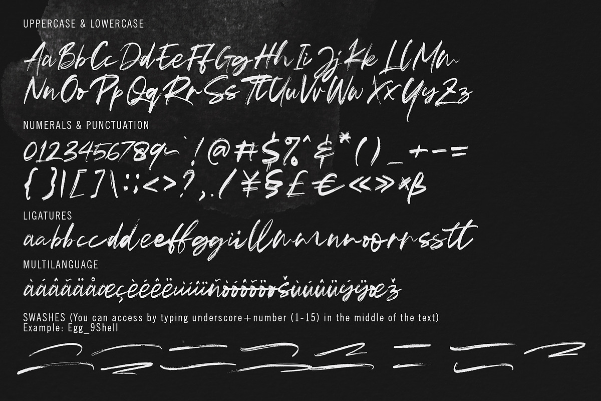 EggShell - Brush Font, a Script Font by Awanstudio (Photo 10 of 10)