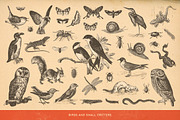 SALE! 100 Animal Illustrations, an Animal Illustration by Anja Kaiser (Thumbnail 4 of 4)