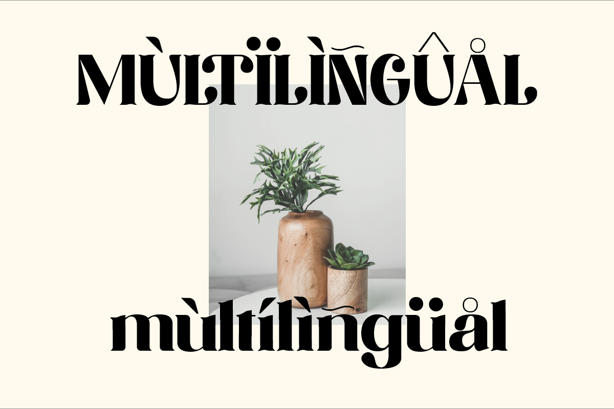 Merdian, a Serif Font by Muksal Creative (Photo 7 of 8)