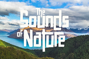 Scratch Out - Urban Brush Font, a Handwritten Font by Pixesia Studio (Thumbnail 2 of 10)