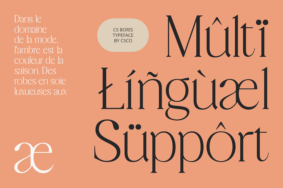 CS Boris – Elegant Font, a Serif Font by Craft Supply Co. (Photo 5 of 8)