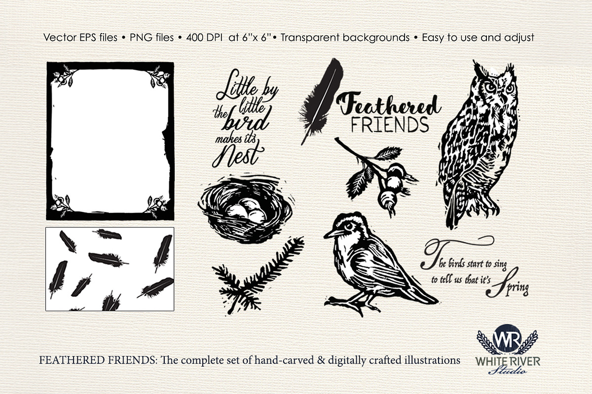 Feathered Friends Linocuts, an Illustration by WhiteRiverStudio (Photo 5 of 10)