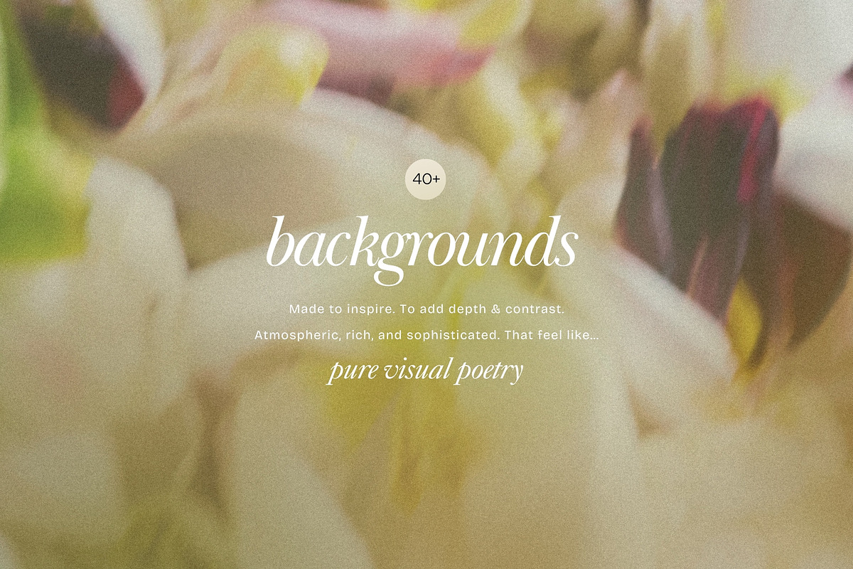 Blur Flower Abstract Backgrounds, a Background Graphic by eclosque (Photo 15 of 27)