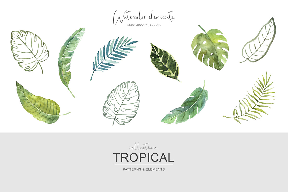 Tropical watercolor collection., a Pattern Graphic by BrushArtDesigns (Photo 12 of 13)