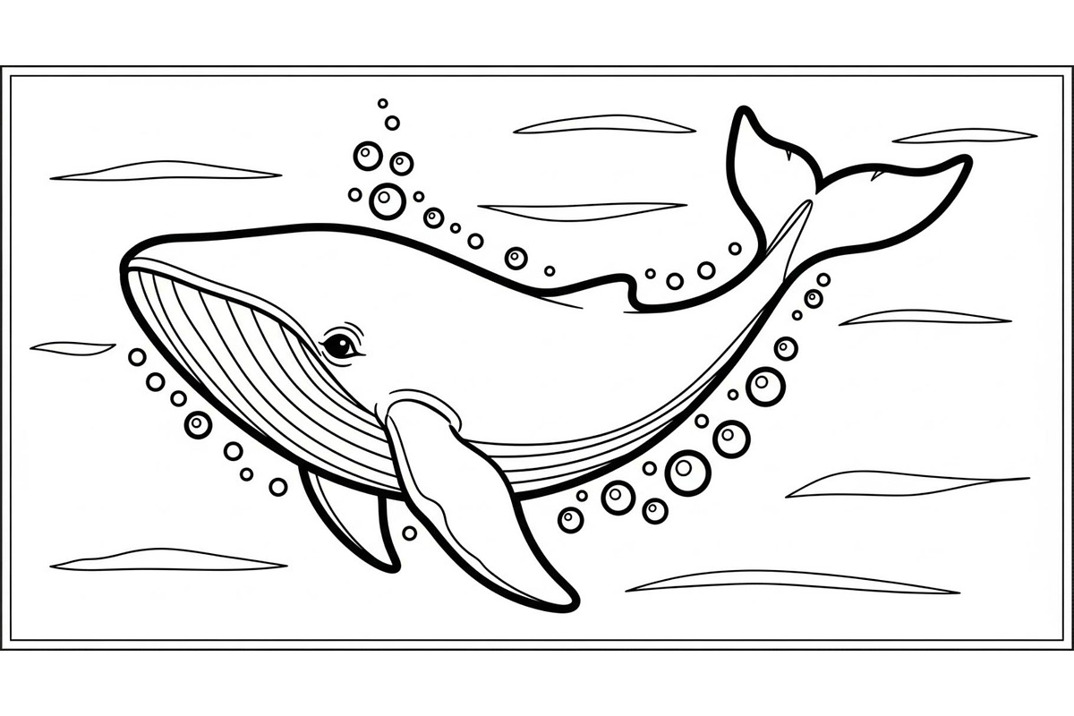 Whale Line Art Vector Bundle, an Illustration by yasushie (Photo 47 of 51)