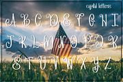 My American Beauty Multilingual Font, a Handwritten Font by Endless Time Graphics (Thumbnail 2 of 4)
