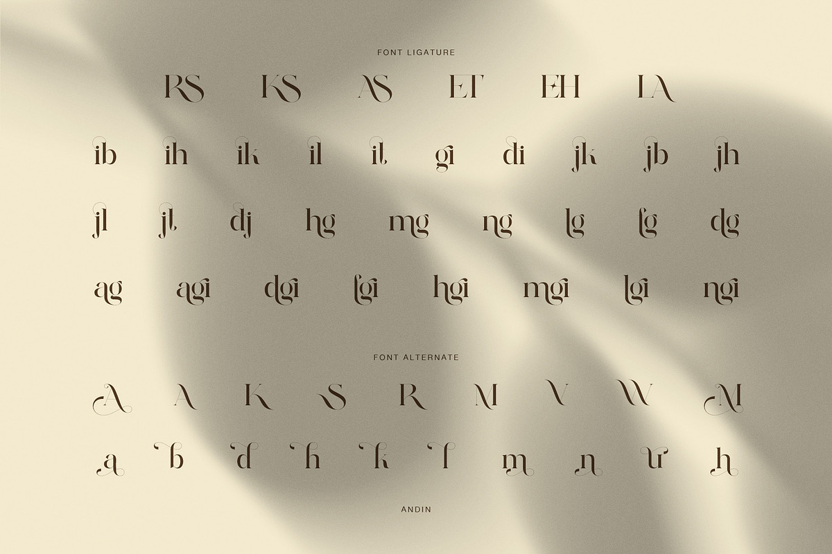 Andin Elegant Serif Font, a Serif Font by Perfectype (Photo 8 of 8)