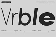 TT Commons Pro Basic, a Sans Serif Font by TypeType (Thumbnail 5 of 15)