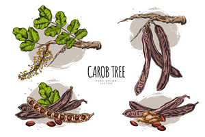 Poster sketch with set of branches, a Food Illustration by Sabelskaya