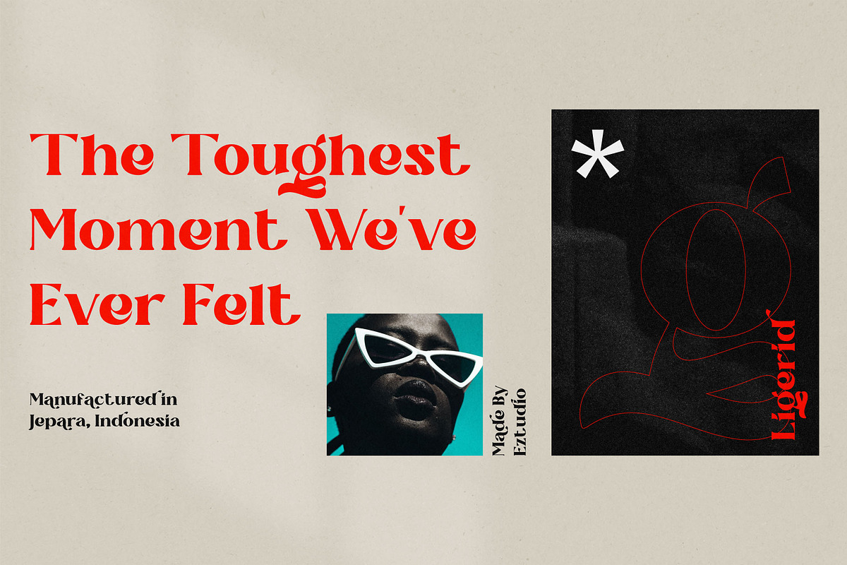 Ligerid - Chic Serif Font, a Serif Font by Eztudio (Photo 8 of 14)