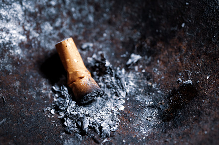 Burning cigarettes with smoke featuring cigarette, ash, and addiction