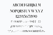 Cintary Modern Serif Font, a Serif Font by Maryamtype Studio (Thumbnail 14 of 15)