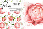 Peonies. Beautiful flowers, a Decorative Illustration by NastyaKim (Thumbnail 1 of 6)