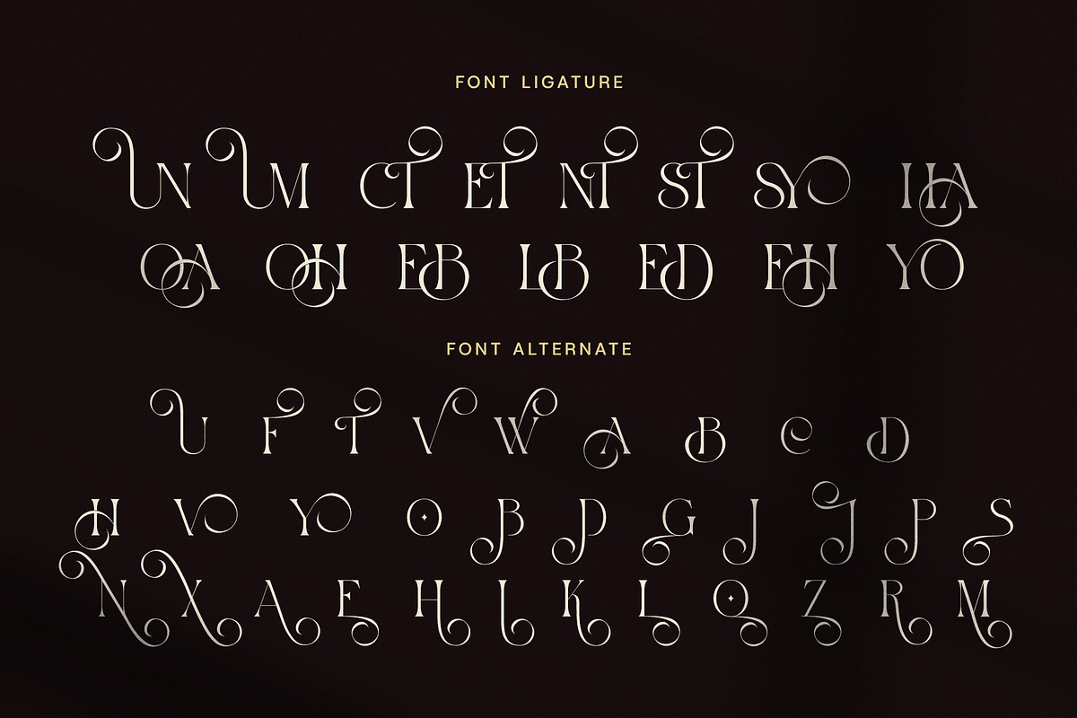 History Elegant Ligature Serif Font, a Serif Font by Elegant Font (Photo 8 of 8)