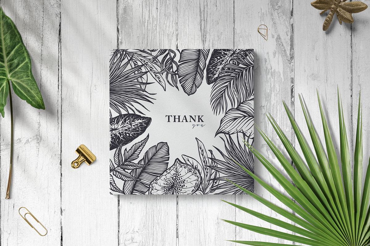 Tropical nature vector set, an Animal Illustration by Molly art (Photo 15 of 15)