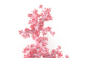 Acropora aasp 1, an Environmental 3D Model by AndrewWhite (Thumbnail 2 of 11)