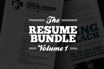 Resume Bundle Vol 1