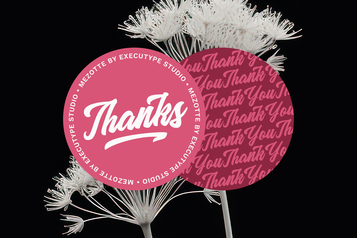 Mezotte - Bold Script Logotype, a Script Font by executypeStudio (Photo 10 of 10)