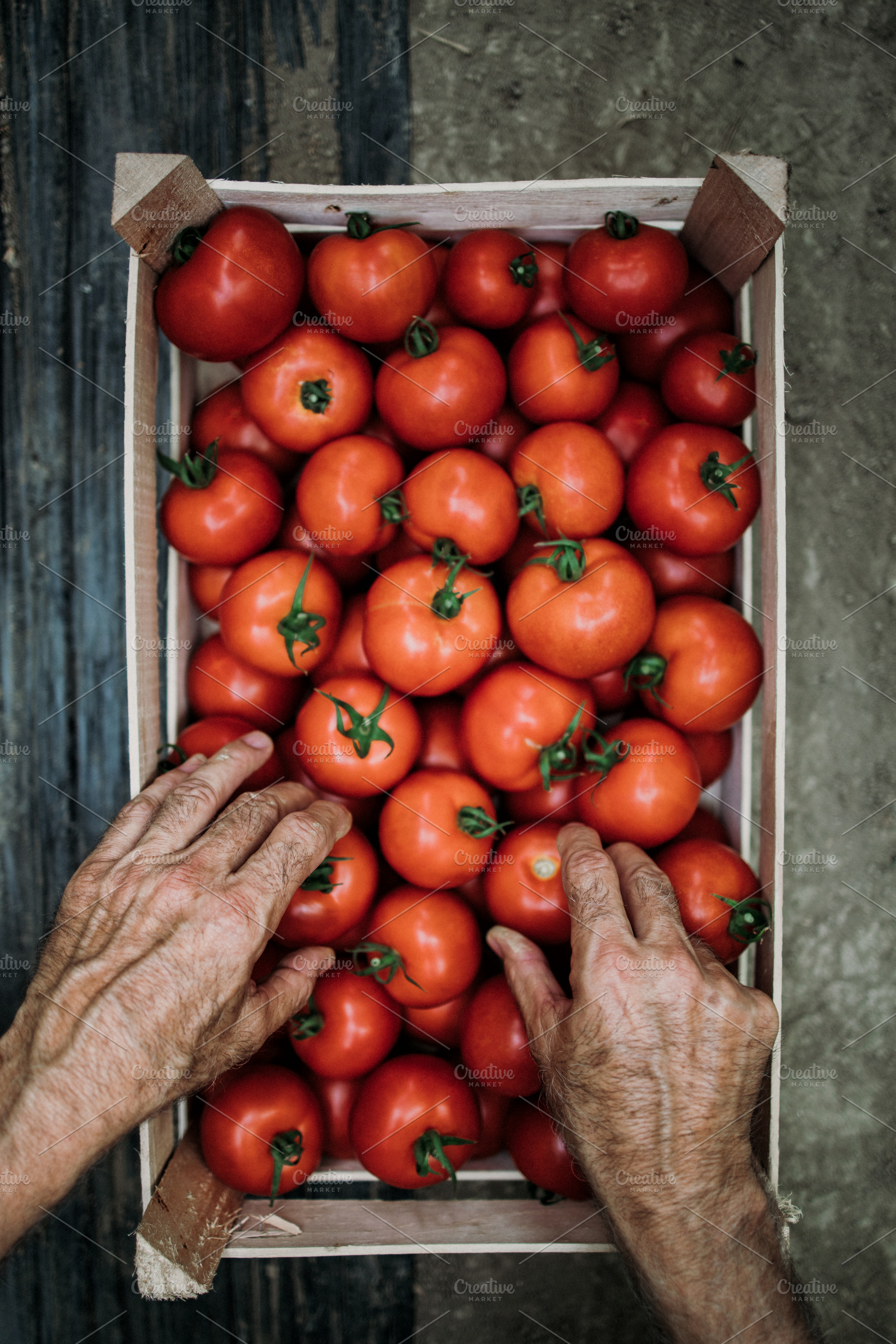 Greenhouse food farming featuring greenhouse, man, and old, a Person Photo by REDDOT Studio